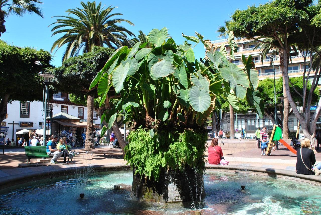 Durazno Tropical Apartment Puerto De La Cruz Luaran gambar
